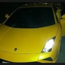 영우모터스 이미지