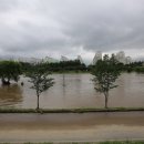 회덕동행정복지센터 이미지