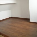 코스모스피아 이미지