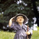 향-녹음의 계절 이미지