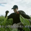 성태농장 이미지