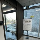 아쎄르(hacer) | [수내 미용실] "아쎄르(hacer) 헤어" 톤다운 카키 브라운 염색 솔직후기