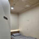 다원솔루션 | 수면무호흡증 호텔급 검사실에서 수면다원검사 받고 온 솔직 후기