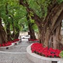 해든푸드마켓 이미지