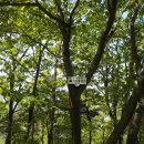 태성2리 이미지