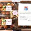 무릉도원신선농원