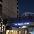 아리아 | 서울 3대 호텔 뷔페 비교🍽 웨스틴 조선 아리아 평일 디너 후기