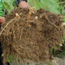 현제농장 이미지