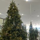 현대(아) 이미지