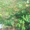 완산방-16 이미지