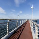 푸른신창 이미지