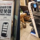 금송아지 이미지