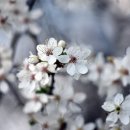 연산한우타운 이미지