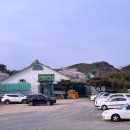 안계미나리농장 이미지