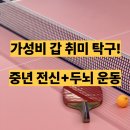 엘림 체육관 | 서울 경기 탁구 모임 총정리 - 탁구 치는 이유 다 있다!