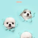 장신대역 1번출구 이미지