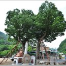 동촌마을회관 이미지