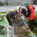 부평5동 주민센터 이미지