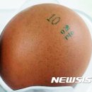 선례농장 뉴시스