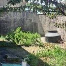 창리마을  용두마을 이미지