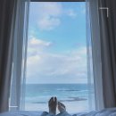 대양공인중개사사무소 이미지