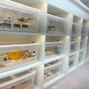 햄토피아 천안 불당점 이미지