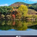 메가커피↔SK가스충전소 | 겨울나기 앞둔 경산 반곡지, 분위기는 아직도 늦가을