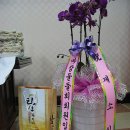 남양초등학교 이미지