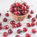 광동약국 이미지