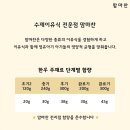 맘마찬 이미지