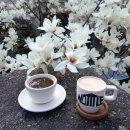 노타이틀 이미지