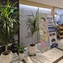 3452 | 동대문피부관리, 앤올리브에스테틱 동대문본점