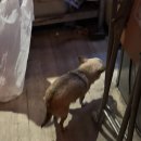 옥슨세탁소 이미지