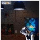 다트나인 이미지