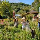 용석농장 이미지