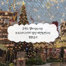 소새울가족작은도서관 | 코엑스 별마당도서관 크리스마스파티 일정 애견동반수칙 방문후기