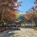 수랑 어린이공원 이미지