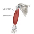 스웨트 원(SWEAT ONE) 이미지