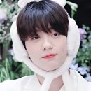 플라워파티 이미지