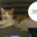 에이치골프아카데미 - 김천시 혁신5로 51 | 에이치골프아카데미