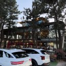 테라인터넷 | 강릉에서 시작된 카페, 테라로사 사천해변점 방문 후기 (아이스 아메리카노, 디카페인 마키아토, 티라미수)