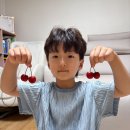 로운이의 체리 휘핑크림빵 🍒🍞 이미지