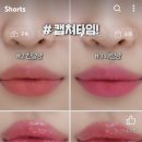 젤리그루밍 이미지