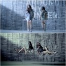 씨스타와이 이미지