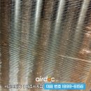 제주에닥