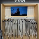 별이알이 댕댕샵 | 오송 골프샵 다이와 온오프 FF247 고반발 아이언 구매하고 중고 골프채 보상 후기