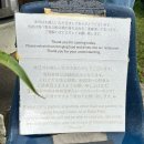 Goodday | [오키나와 차탄 브런치 맛집] — ☕️ Good Day Coffee グッドデイコーヒー