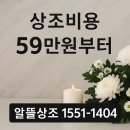 평온 | 용인 평온의숲 이용 안내 후기