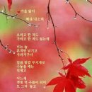 강천가로수길 | 10~11월 가을 산책과 후기 영상
