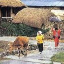 고향생각 이미지